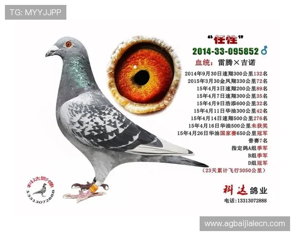 注册ag捕鱼官网会员后可以享受哪些独家优惠和奖励 注册ag捕鱼官网会员后可以享受哪些独家优惠和奖励