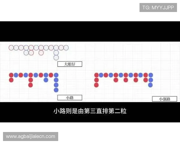 全面掌握百家乐路单的基础知识与实用技巧,帮助玩家轻松识别趋势提升盈利 全面掌握百家乐路单的基础知识与实用技巧,帮助玩家轻松识别趋势提升盈利