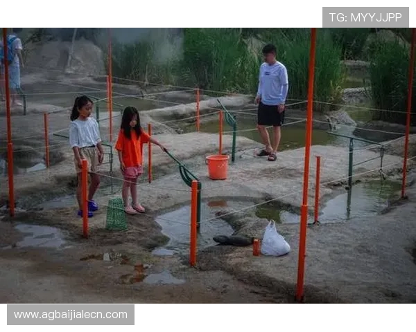 在PA捕鱼乐园中畅享高清画质和流畅操作体验，开启属于你的海底宝藏之旅