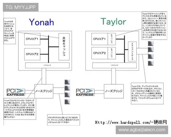 详细解析K8真人国际官网的多样化游戏玩法与操作流程指南